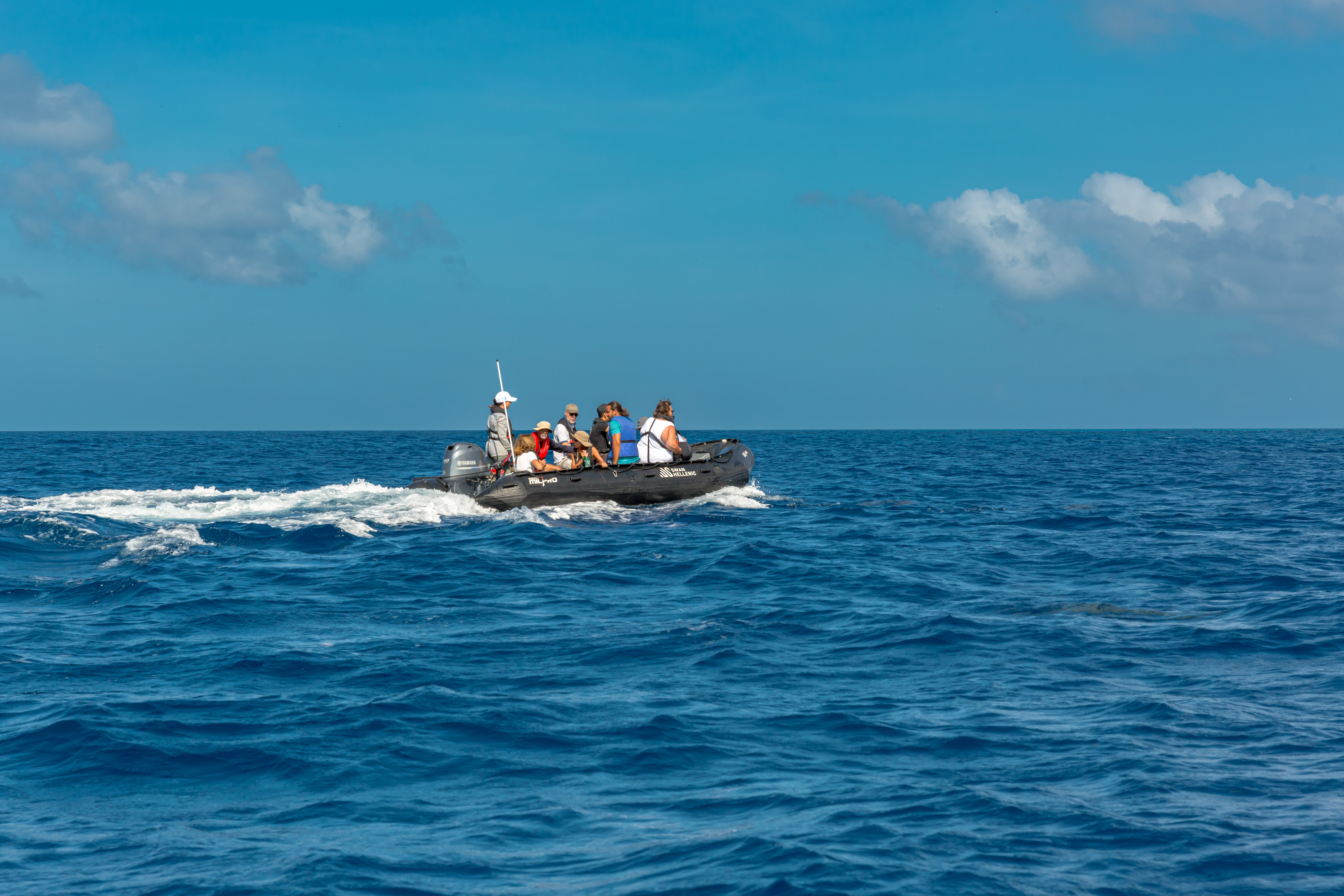 Excursions on SH Diana